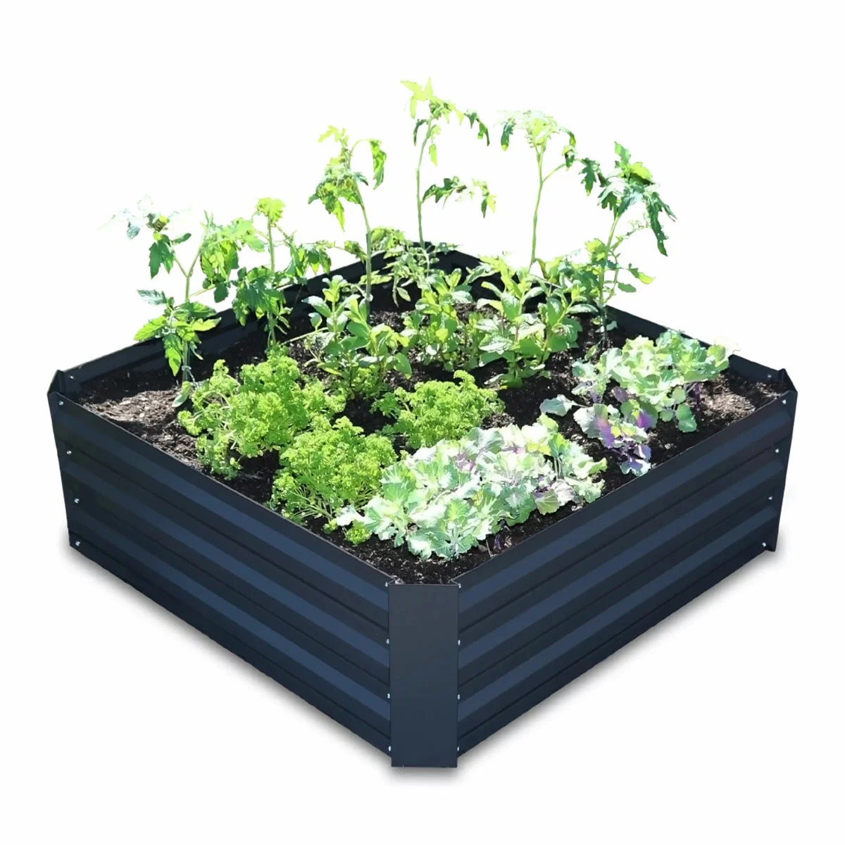 Greenlife 2 Pack Garden Greenhouse With Netting Covers 1850 x 950 x 1020mm
