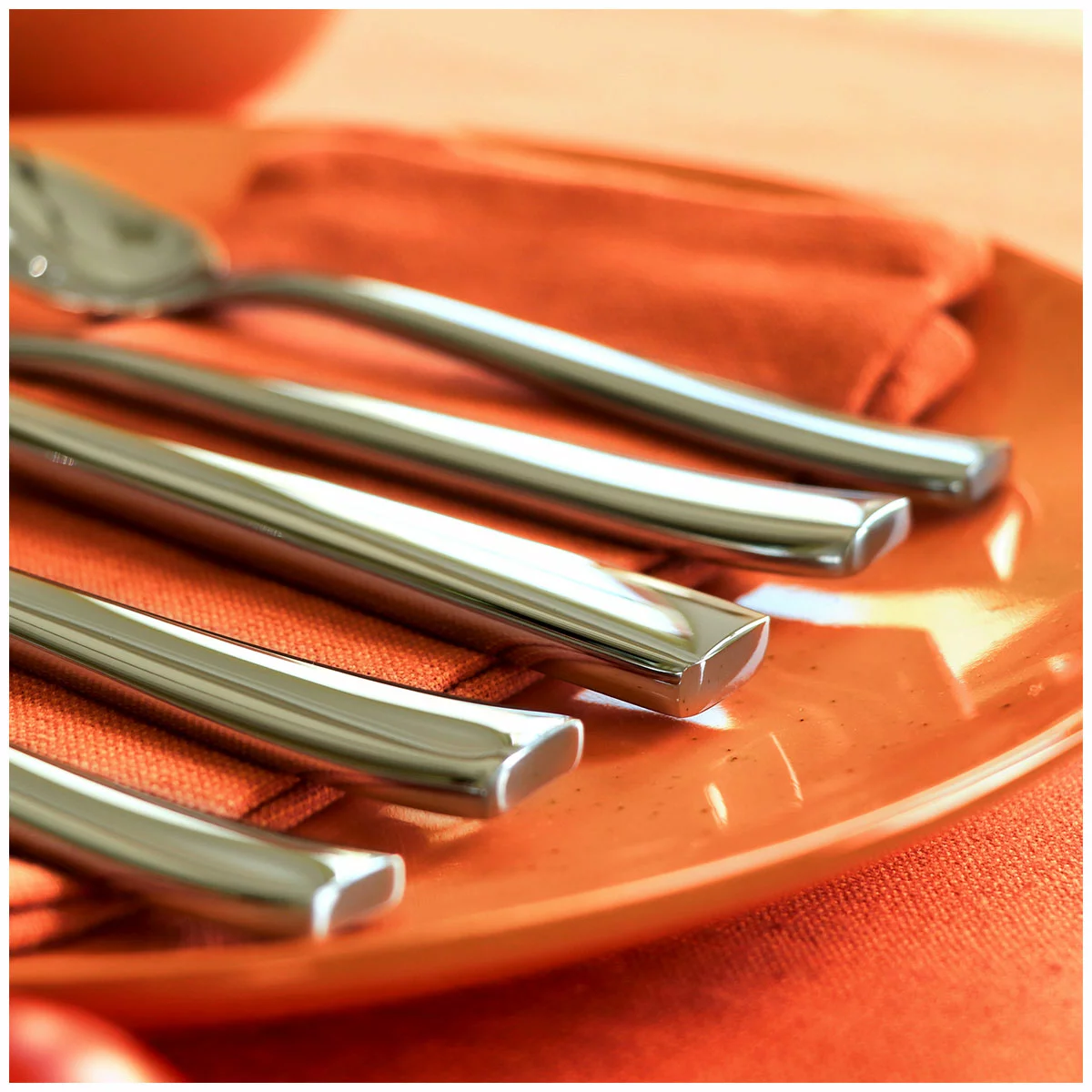 Gourmet Settings Mode 20 Piece Flatware Set Stainless Steel Dishwasher Safe