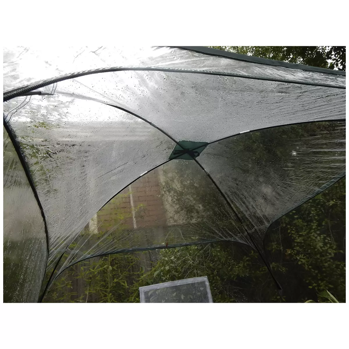 Maze Poly Garden Plant Cover 1 x 1.4m - Greenhouse Pop Up Plant Cover