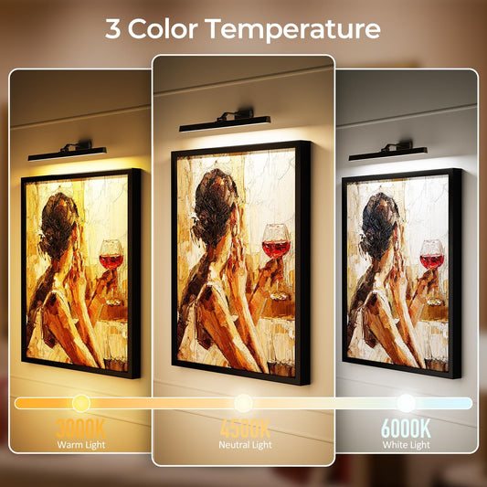 Wall Picture Light, 24in Battery-Powered Gallery Light for Artwork, CCT Dimmable Rechargeable Battery Wall Lamp with Remote Control for Living Room, Gallery, and Dartboard (Black)