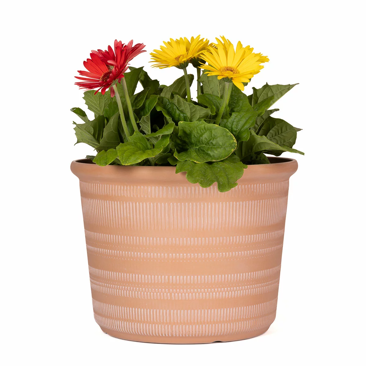 Trendspot Forum Planters 3 Pack Terracotta