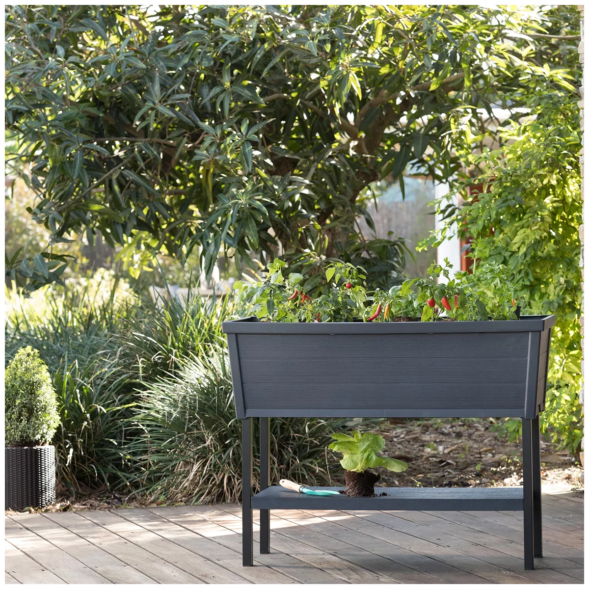 Keter Alfresco Large 105L Raised Garden Bed 112 x 84 x 46 CM Black