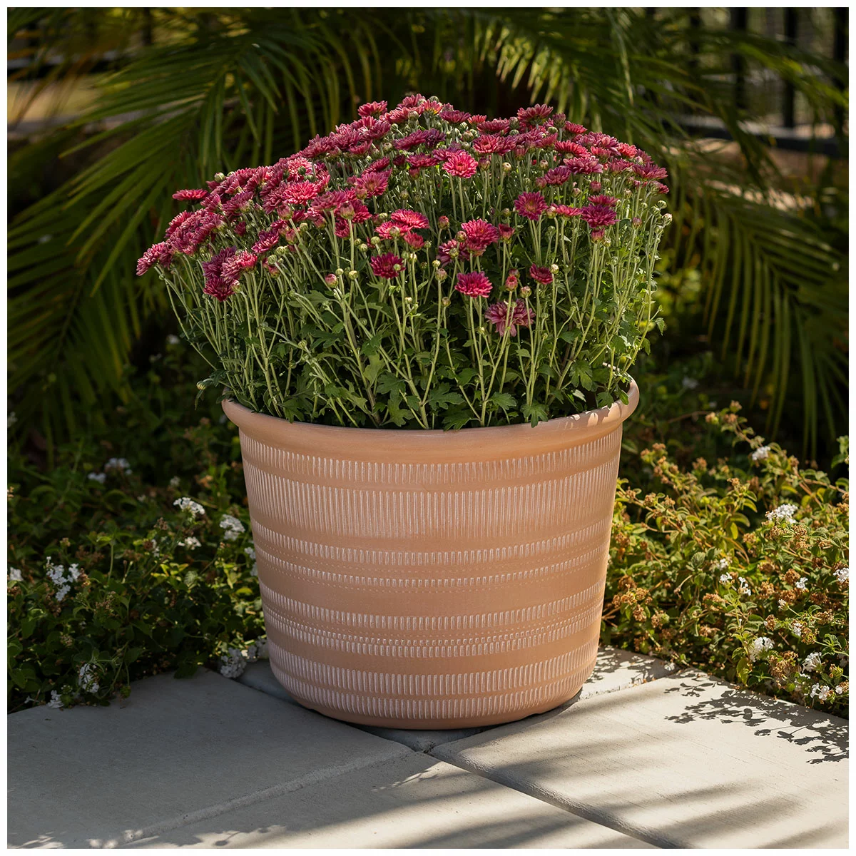 Trendspot Forum Planters 3 Pack Terracotta