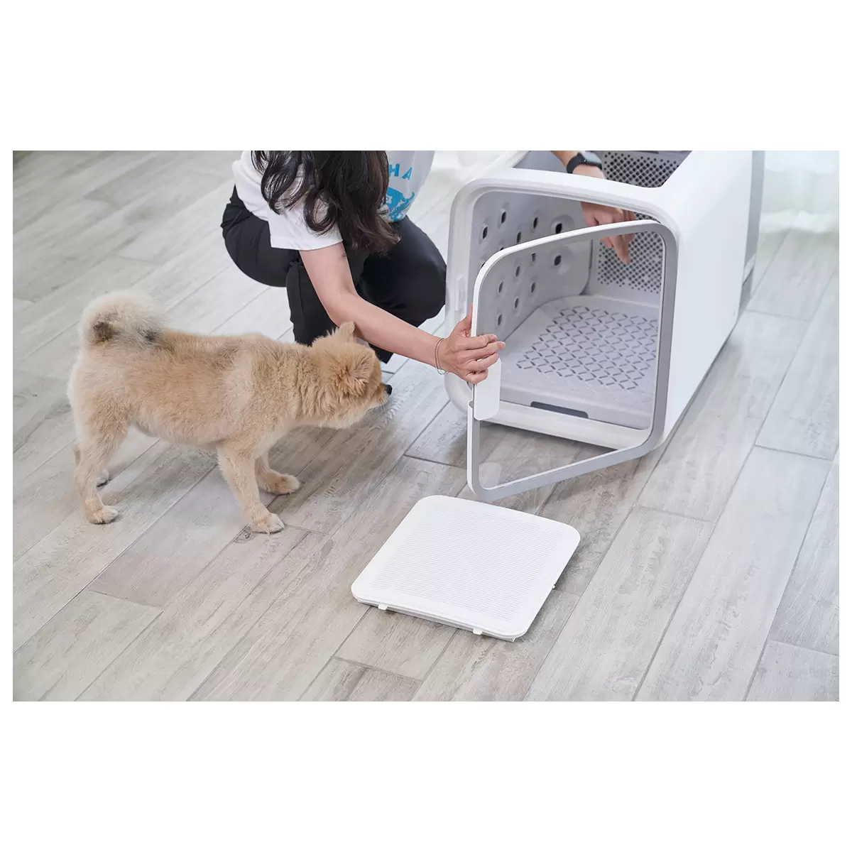 CUCKOO NELLO Air Shower Pet Dryer ND-A0610FG 360° Smart Grooming Dryer