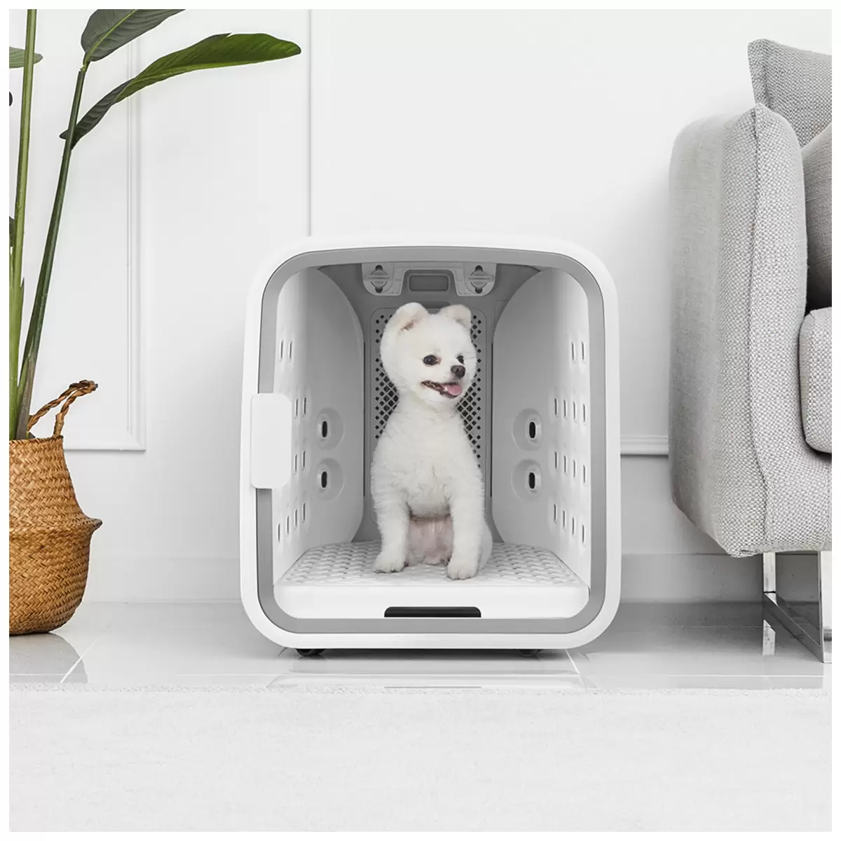 CUCKOO NELLO Air Shower Pet Dryer ND-A0610FG 360° Smart Grooming Dryer