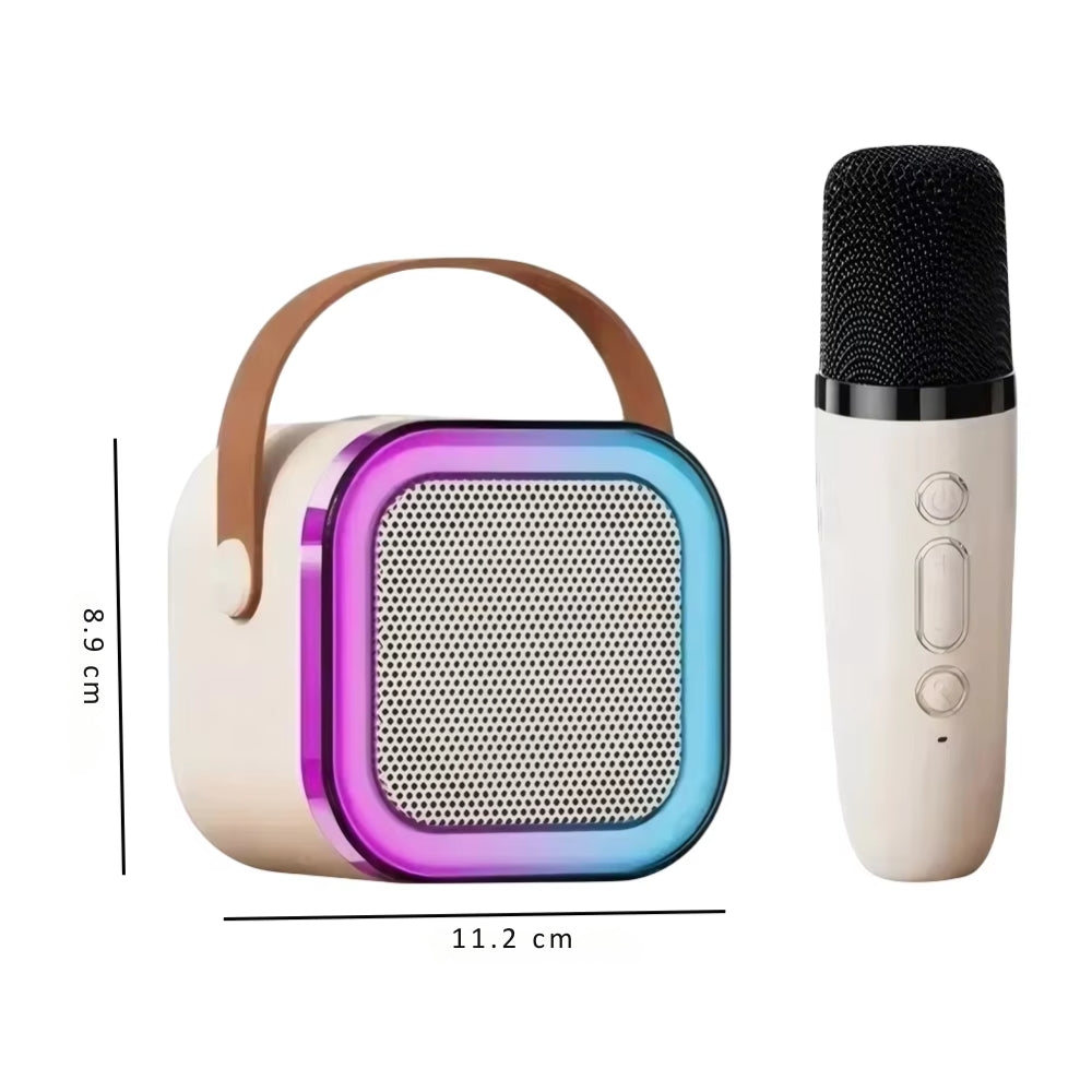 Professional Wireless Microphones Bluetooth Speaker