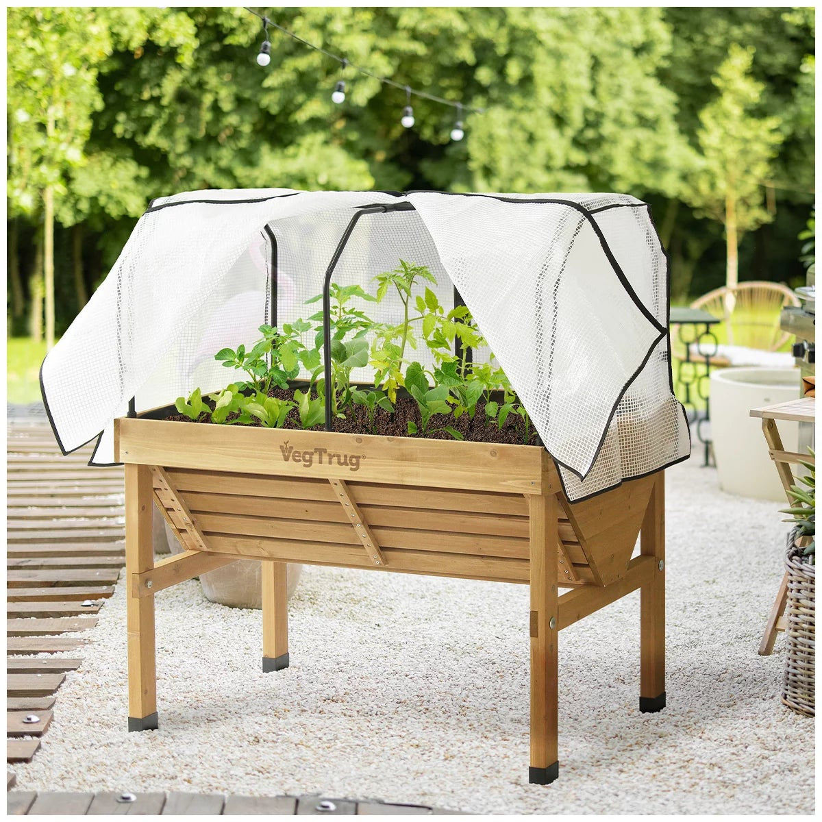 VegTrug Classic Home Farm Kit 1.2m Natural Raised Garden Bed Greenhouse Cover