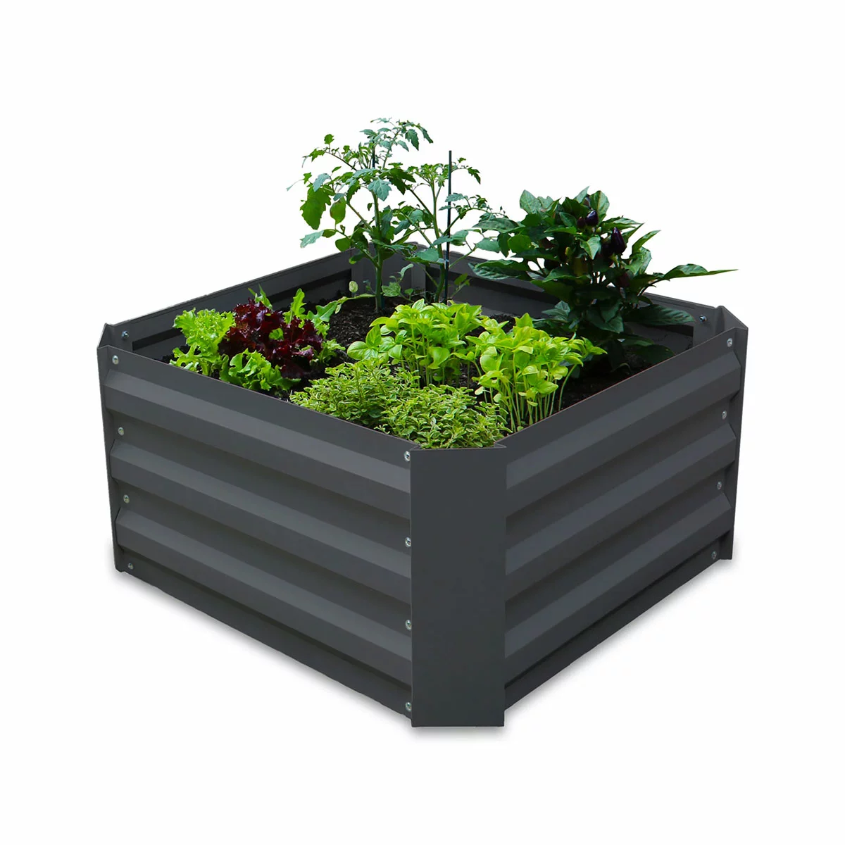 Greenlife Modular Garden Bed 6 Pack 600x600x300mm Raised Planter Box Charcoal