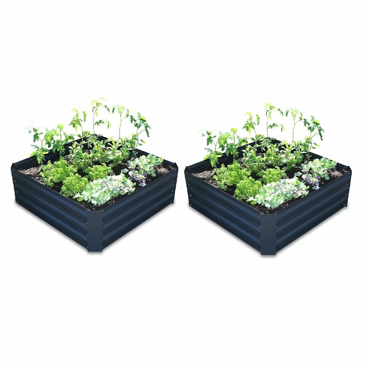 Greenlife 2 Pack Garden Greenhouse With Netting Covers 1850 x 950 x 1020mm
