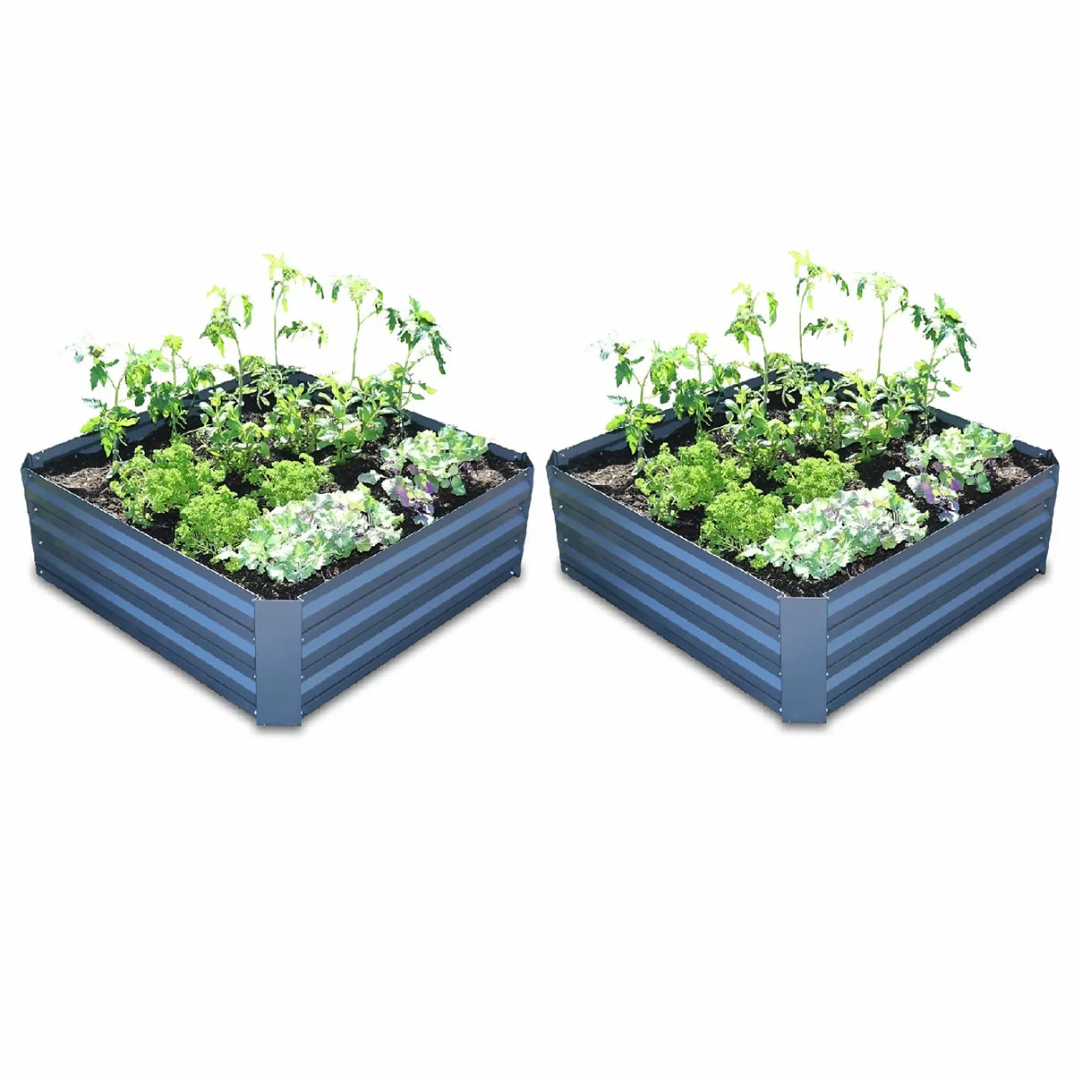 Greenlife 2 Pack Garden Greenhouse With Netting Covers 1850 x 950 x 1020mm Grey