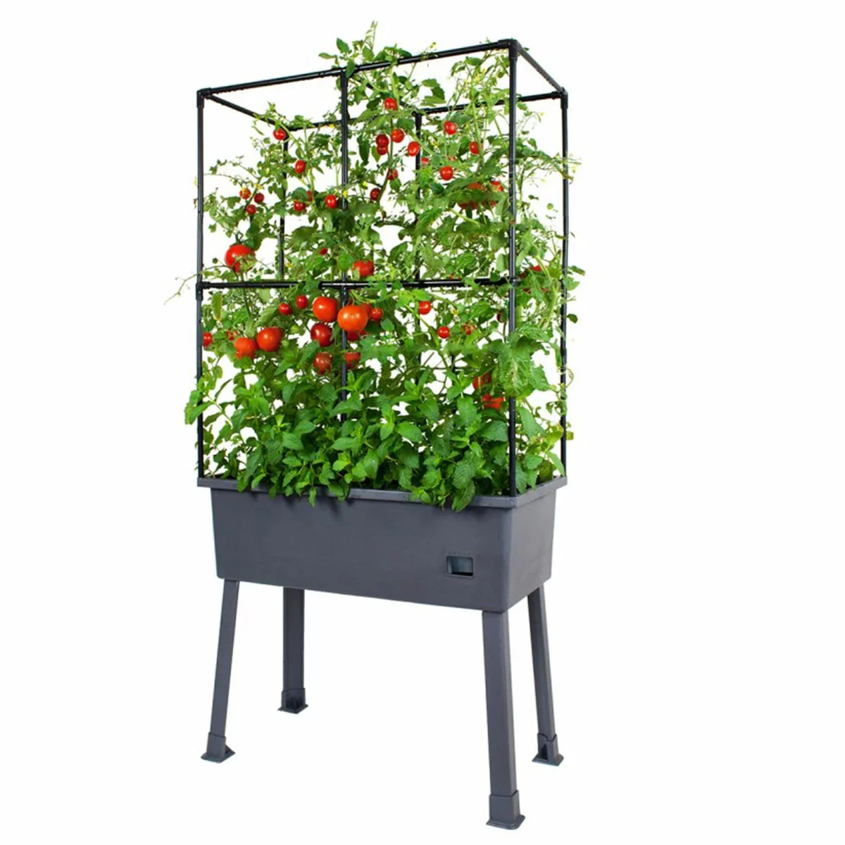 Greenlife Mobile Garden Planter Box With Leg Kit Greenhouse Netting Cover
