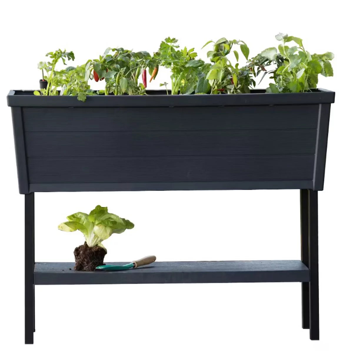 Keter Alfresco Large 105L Raised Garden Bed 112 x 84 x 46 CM Black
