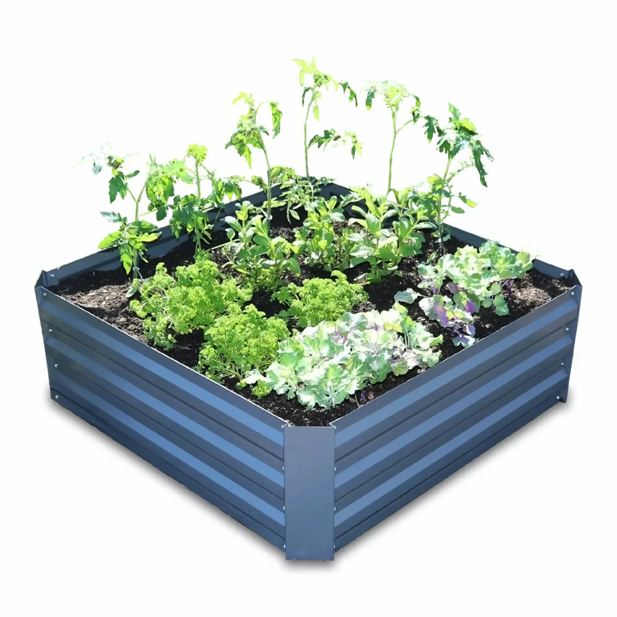 Greenlife 2 Pack Garden Greenhouse With Netting Covers 1850 x 950 x 1020mm Grey