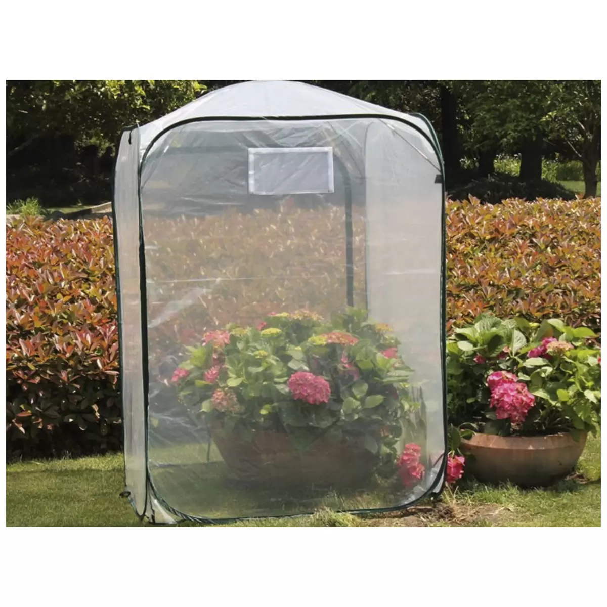 Maze Poly Garden Plant Cover 1 x 1.4m - Greenhouse Pop Up Plant Cover
