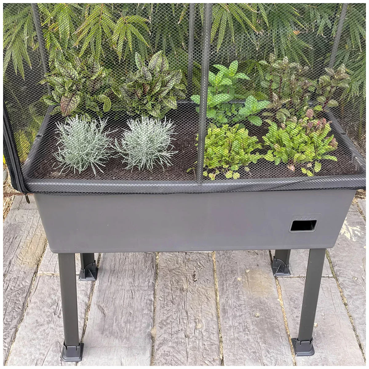 Greenlife Mobile Garden Planter Box With Leg Kit Greenhouse Netting Cover