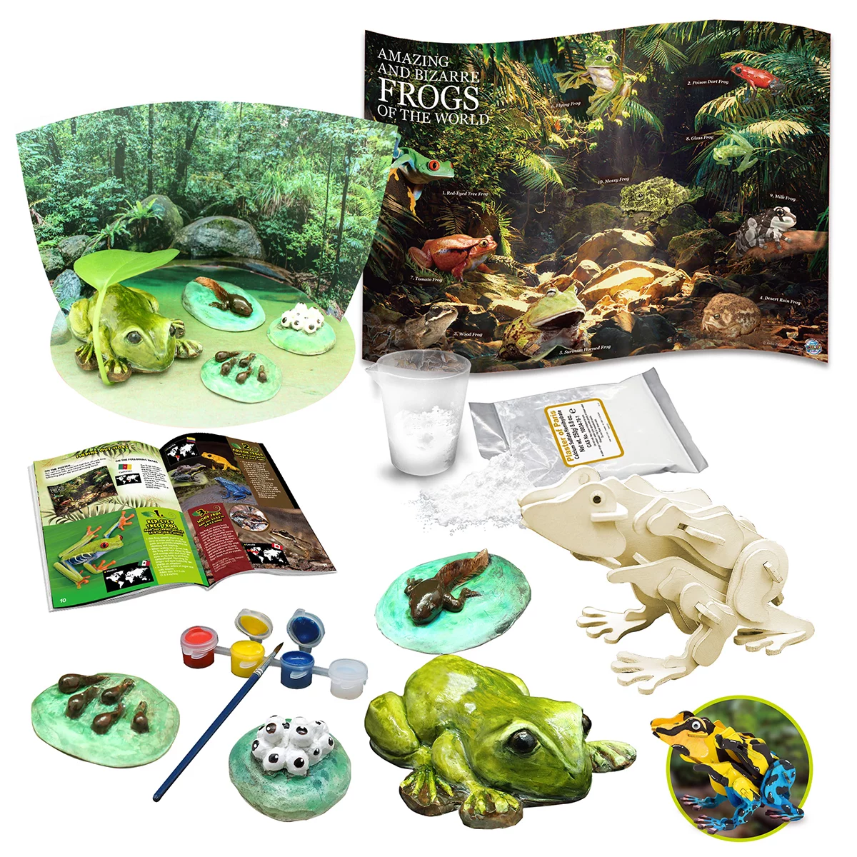 Australian Geographic Extreme Animals Kit 2 Packs Lizards/Frogs