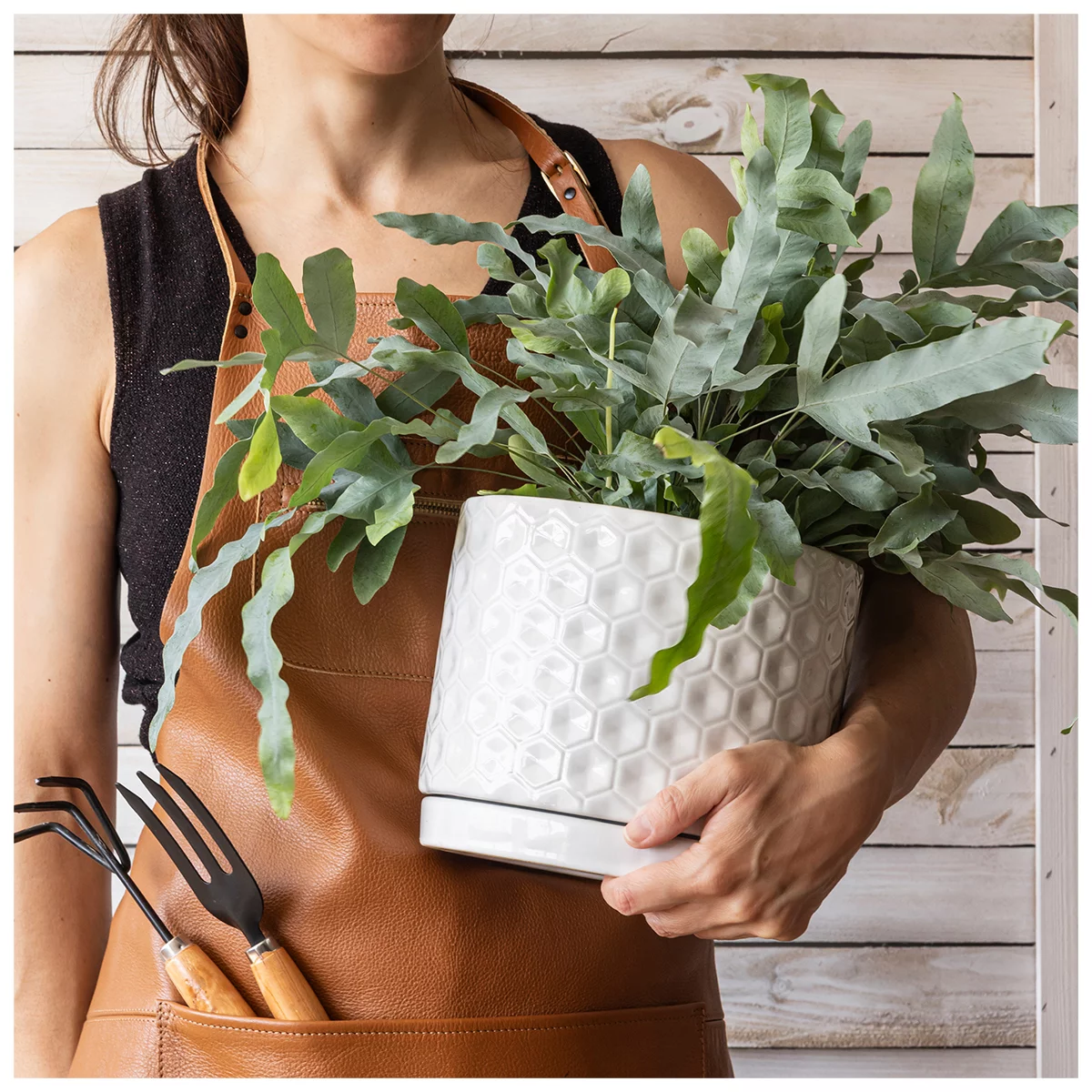 Pack of 2over&back Honeycomb Ceramic Planters W/ Glossy Textured Pots + Saucers