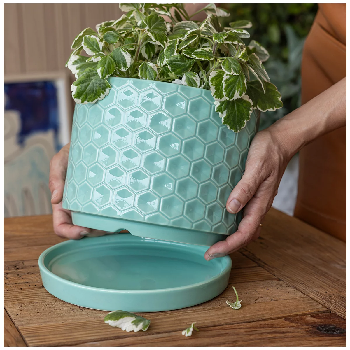 Pack of 2over&back Honeycomb Ceramic Planters W/ Glossy Textured Pots + Saucers