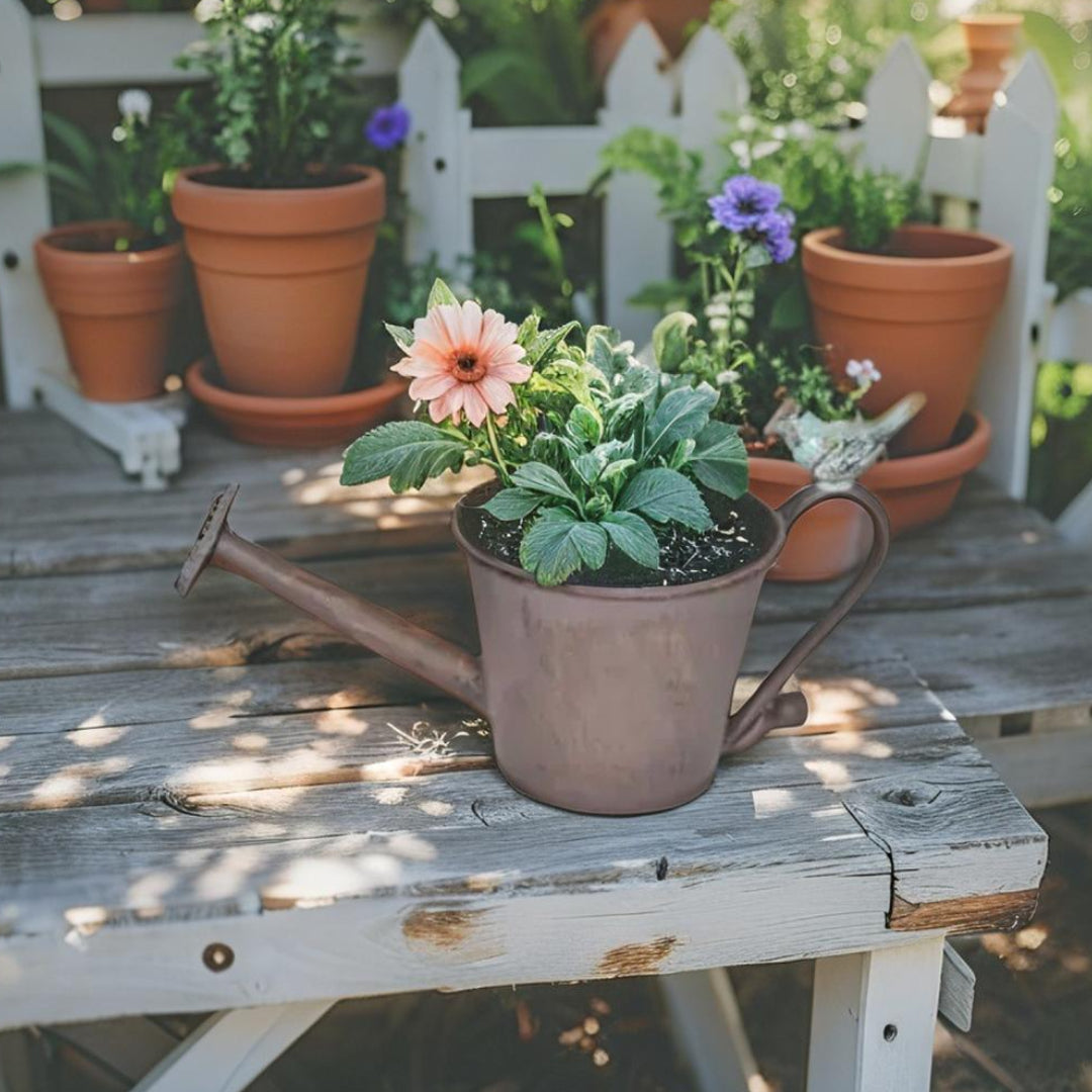 Watering Can Shape Potplanter w Blue Flower 28cm