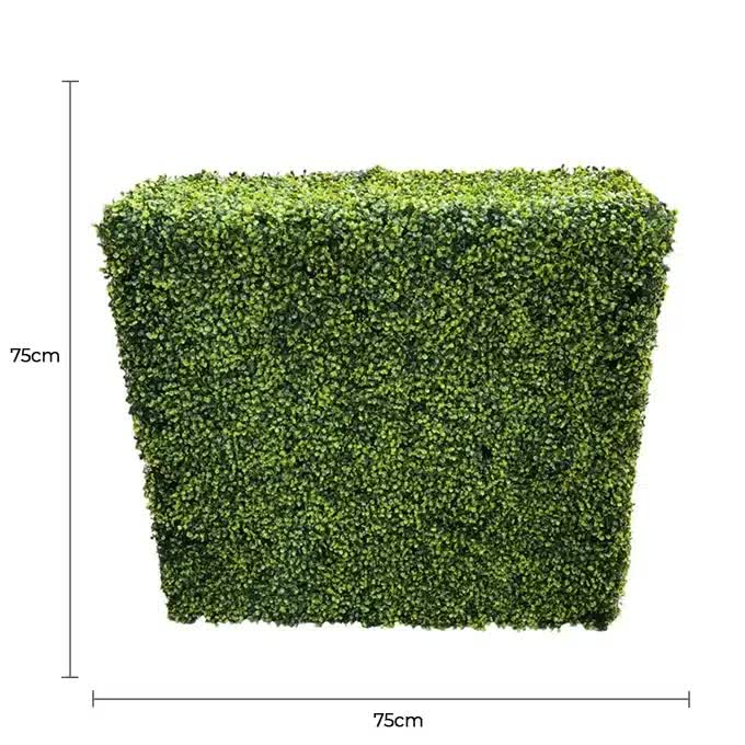 Mixed Boxwood Hedge UV Resistant 75cm Long x 75cm High