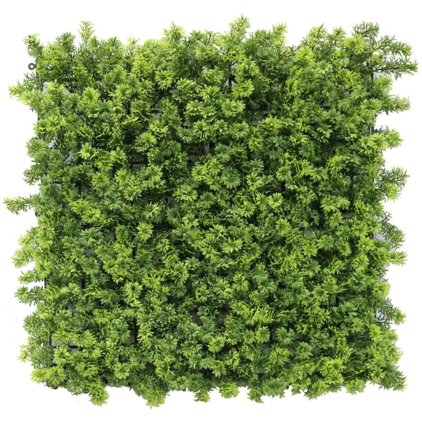 Green Moss Panel UV Resistant 100cm x 100cm (Back Order Only)